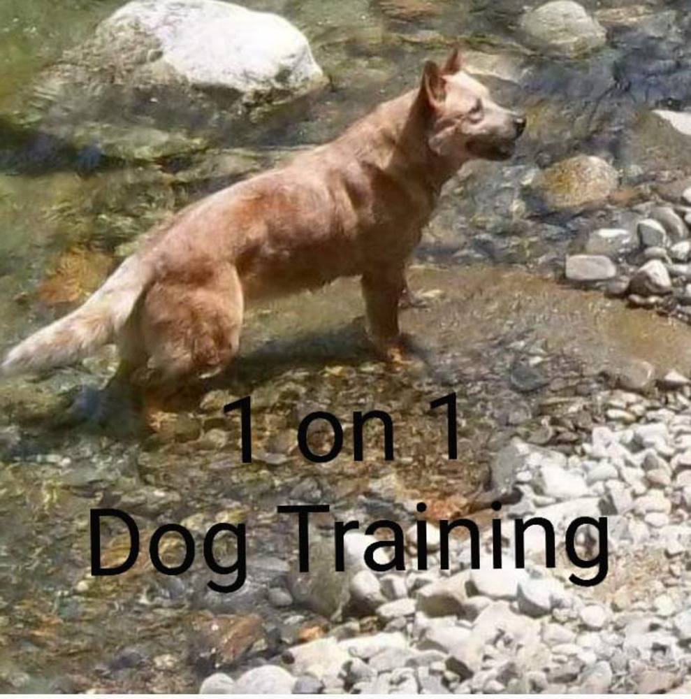 Meet your Posher, Phyllis